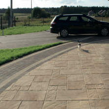 kostka betonowa Slavia śląskie