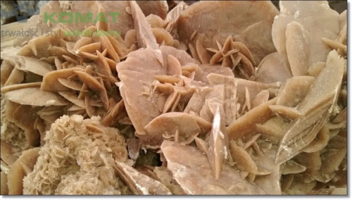 kwiat pustyni śląskie