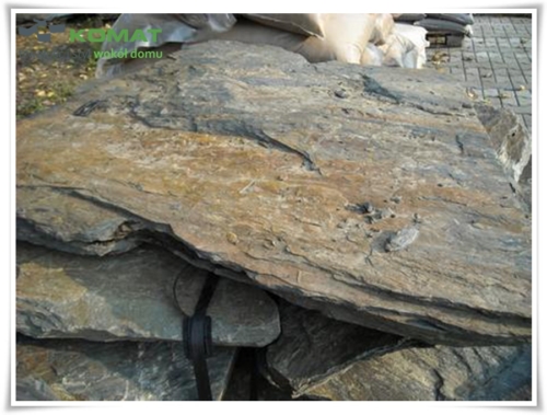 łupek szarogłazowy śląskie