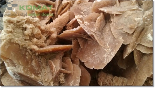 kwiat pustyni śląskie