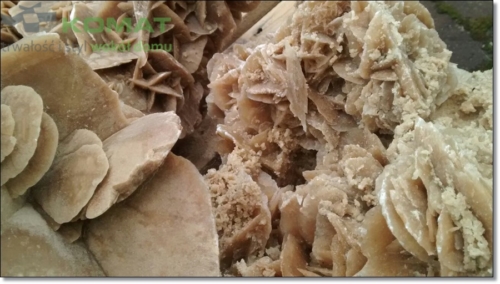 róża pustyni śląskie