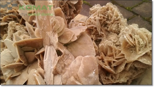 róża pustyni śląskie