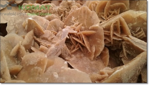 róża pustyni ogród śląskie