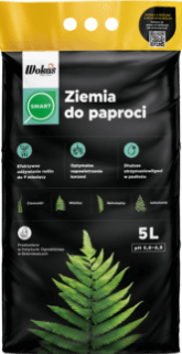 Ziemia do paproci śląskie