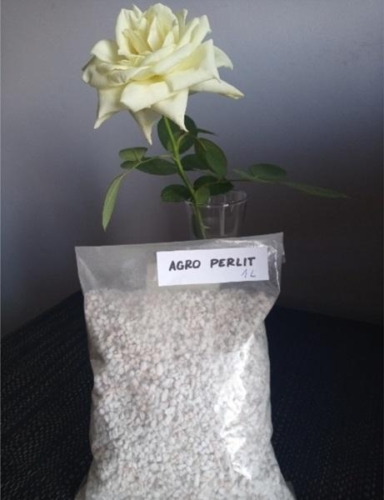 Agro perlit śląskie